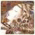 EricaSmort's Avatar