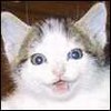 badideal22's Avatar