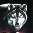 ubevupyk's Avatar