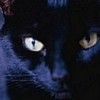 edime's Avatar