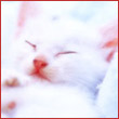 sylwia75's Avatar