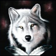 umajyzy's Avatar