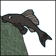 awicux's Avatar