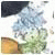 BuddyFauch's Avatar