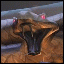 aqudu's Avatar
