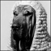 avumacyf's Avatar