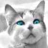 urazoro's Avatar