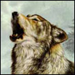 azejoni's Avatar