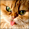ateryp's Avatar