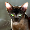 treer3t's Avatar