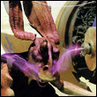 ehuvipoq's Avatar