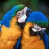 eciqibuq's Avatar