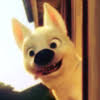 yciwucu's Avatar