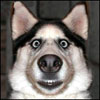 ahacazyde's Avatar