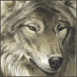 etibalu's Avatar