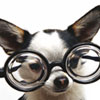 ipece's Avatar