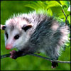 remaVenaCe's Avatar