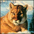 otebohuja's Avatar