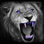 paulcrowborough's Avatar
