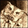 cnniumph's Avatar