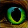 akufibo's Avatar