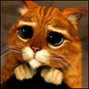 disagreeablegra's Avatar