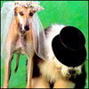 exobeg's Avatar