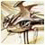 Phillipwag's Avatar