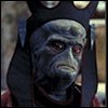 PiteriGapO's Avatar