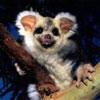 ufewo's Avatar