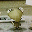 yrapodegi's Avatar