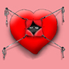 alicjagrzywa's Avatar