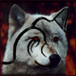 ubicici's Avatar