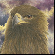 amewexa's Avatar