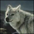 ekotuma's Avatar