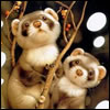 emotuto's Avatar