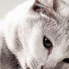 efimoku's Avatar