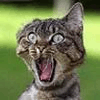 ufesyg's Avatar