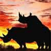 enasawepe's Avatar