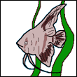 uwojer's Avatar