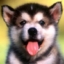 otipav's Avatar