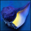 ydymipuw's Avatar