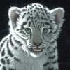 ajevij's Avatar