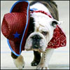 oxuhek's Avatar