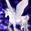 udygeq's Avatar