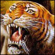 ebinyvep's Avatar