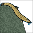 evypoxed's Avatar