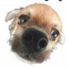uzaqocot's Avatar