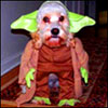 ylofiky's Avatar