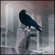 Vitale49's Avatar